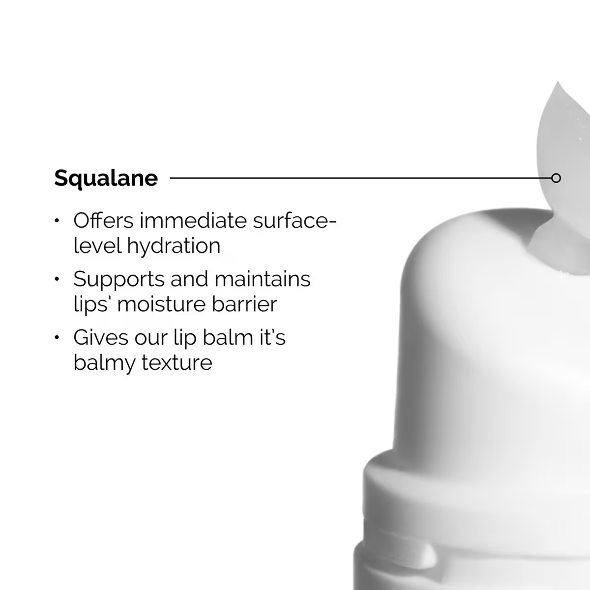 Squalane + Amino Acids Hydrating Lip Balm The Ordinary 15 ml