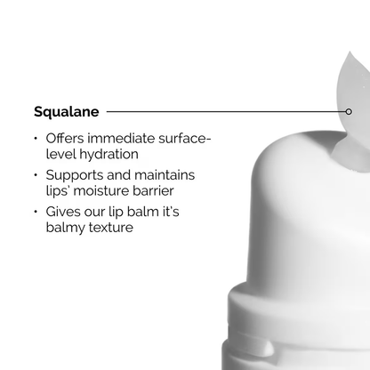 Squalane + Amino Acids Hydrating Lip Balm The Ordinary 15 ml